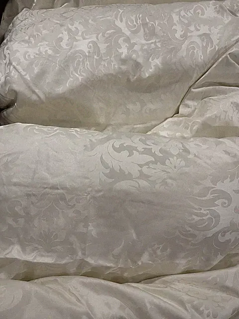 Bloomingdale’s USA New Queen Down White Goose 100% German Silk Jacquard 36oz