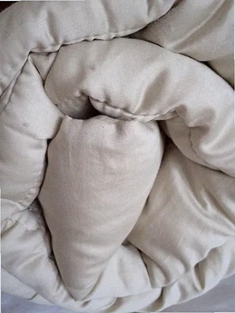 Certified Organic Cotton Merino Wool Comforter Duvet Four Seasons Sleep Beyond