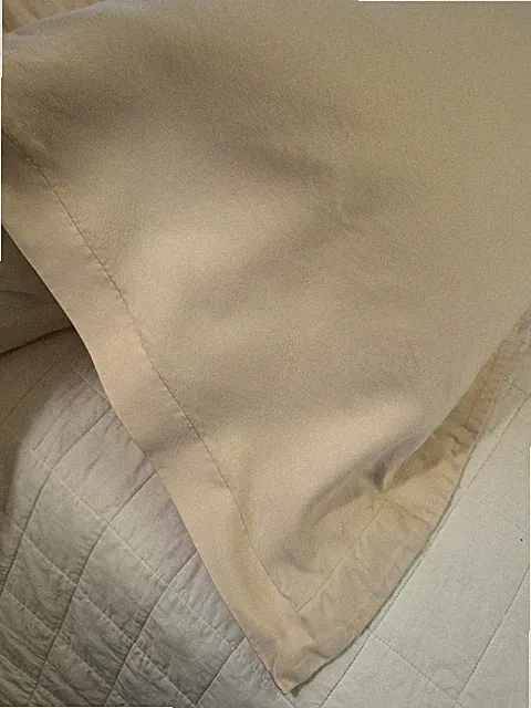 Pair Superior Egyptian Cotton Ivory Cream Pillow Shams Standard 700 TC